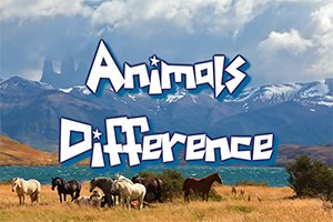 Animal Differences