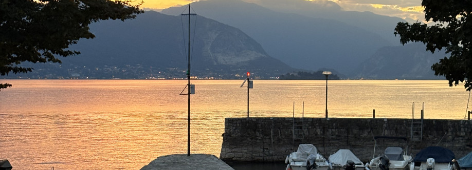Daniel Bertaglia Cover Image